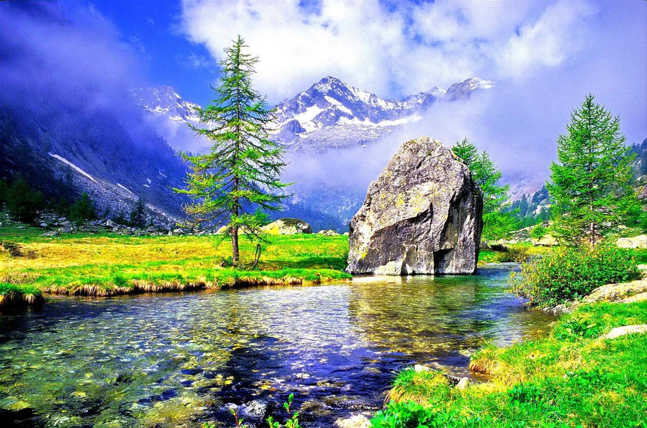 Most Beautiful Nature Pictures For Wallpaper - Infoupdate.org